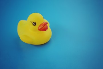 Yellow rubber duck isolated on blue background, (vintage colour) 