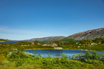 Fototapeta na wymiar Bergsee in Norwegischer Landschaft bei Skjåk