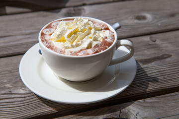 A Cup of hot chocolate with whipped cream