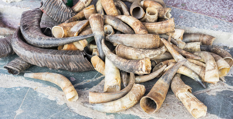 Cow and buffalo horns on the floor for sale. Selective focus.