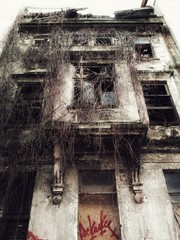 old abandoned house in Istanbul
building architecture house abandoned ruin ruins