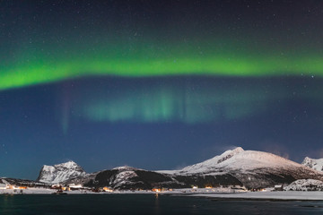 Amazing Aurora Borealis  during a cold arctic night on Lofoten Islands archipelago in winter, Norway, Scandinavia