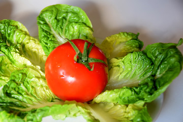 Fresh red tomatoes on lettuce leaves