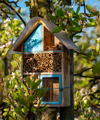 Wooden insect hotel in spring sunny fruit trees orchard
