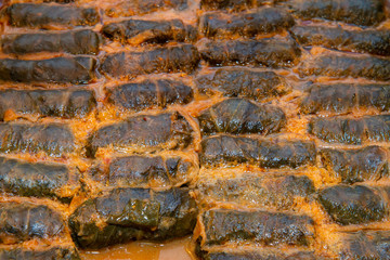 Stuffed grape leaves close up