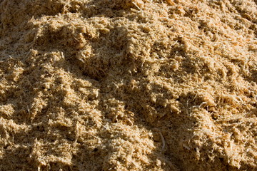 Usine pour la fabrication de granule pour les poeles a bois