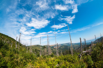 Beskidy, Poland © Michal