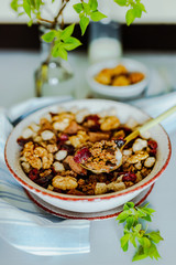 A close-up of a granola bowl with walnuts, chocolate and dried cranberries, a bottle of milk, small bowl with nuts, towel, green branch. A spoon full of granola in the bowl. A vertical still life