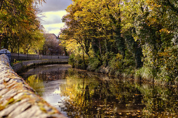 A walk along the river with trees in autumn. 