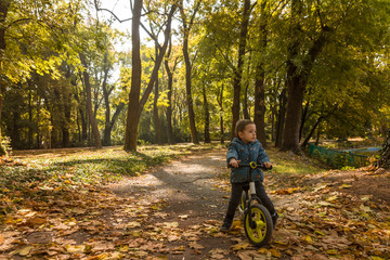Fototapeta na wymiar Small child driving bicycle at asphalt road in fall season.