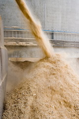 Usine pour la fabrication de granule pour les poeles a bois