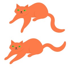 Cats lie in different poses. Pets on a white background.