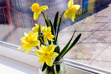 Yellow daffodil flowers in vase on the table
