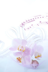 胡蝶蘭の花束とレースのリボン（楽譜の合成）