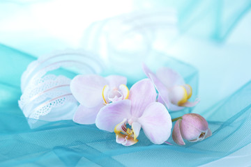 ピンクの胡蝶蘭の花束 （ターコイズブルーの背景）