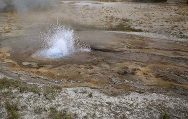 Thermal pool along the Firehole river in the Old Faithful area, Yellowstone N.P.
