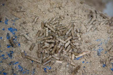 Usine pour la fabrication de granule pour les poeles a bois