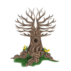 A huge tall stylized oak tree with powerful roots on the surface of the earth with a large hollow. Tree without leaves