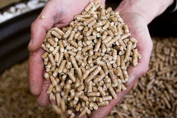 Usine pour la fabrication de granule pour les poeles a bois