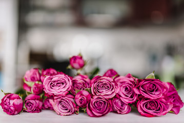 Composition of pink small roses on blurry light background. Happy Birthday. Holiday greeting card for Valentines, Women's, Mother's Day, Easter. Wedding invitation. Space for text message.