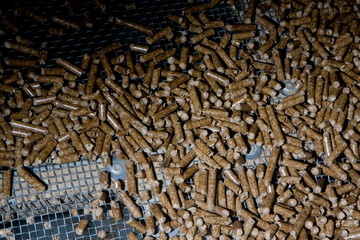 Usine pour la fabrication de granule pour les poeles a bois