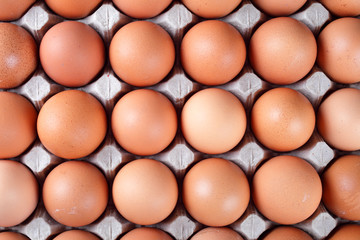 red eggs in a paper tray, macro, soft focus, top view