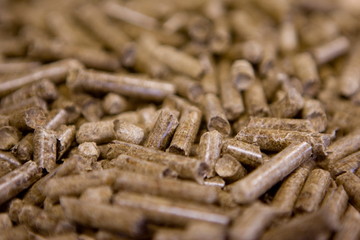Usine pour la fabrication de granule pour les poeles a bois