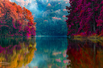Panele Szklane Podświetlane  Piękno scenerii drzew odbijających taflę wody w jesiennych barwach nad jeziorem w Pang Ung Thailand