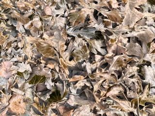 metallic leaf pile