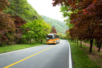 Road. Naejangsan National Park in Jeongeup-si, South Korea.
