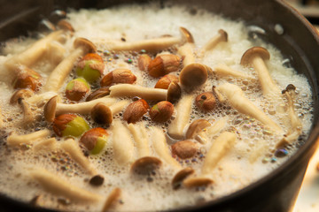 Cooked mushroom and ginkgo nuts rice