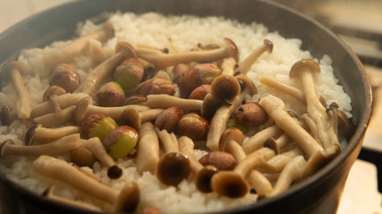 Cooked mushroom and ginkgo nuts rice