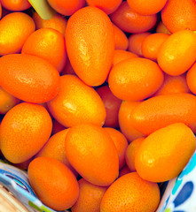 Fruit basket with several tamarinds