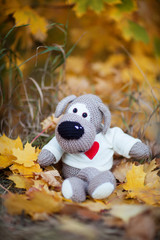  knitted dog in autumn park