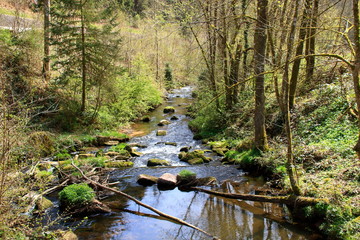 Idyllischer bachlauf der teinach bei bad teinach im schwarzwald