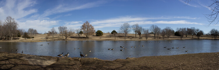 duck pond panorama