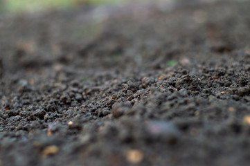 Dark soil with blur in spring sunny day