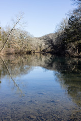 reflection of trees in water