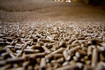 Usine pour la fabrication de granule pour les poeles a bois