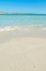 Fototapeta na wymiar Turquoise water and white sand in La Pelosa beach