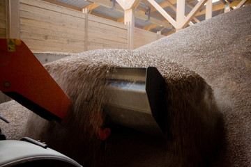 Usine pour la fabrication de granule pour les poeles a bois