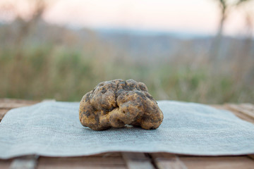 Tartufo Bianco