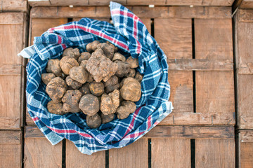 Tartufo Bianco