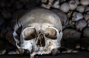 coronavirus asian flu epidemic word Skulls front view