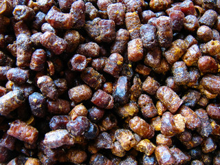 large amount of beebread , background