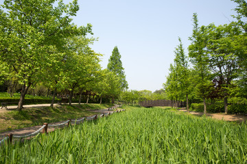 Mulhyanggi Arboretum in Osan-si, South Korea.
