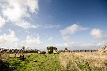 ancient abandoned castle natural park
