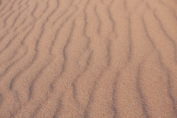 Fototapeta na wymiar Sand wave patuptern background, Africa, close-up