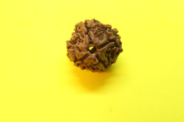 Rudraksha seeds