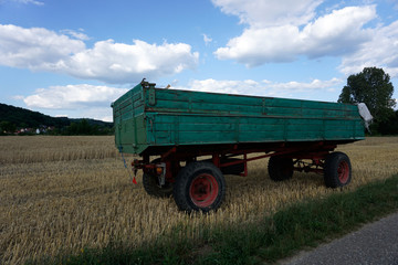 Fototapeta premium combine harvester in field